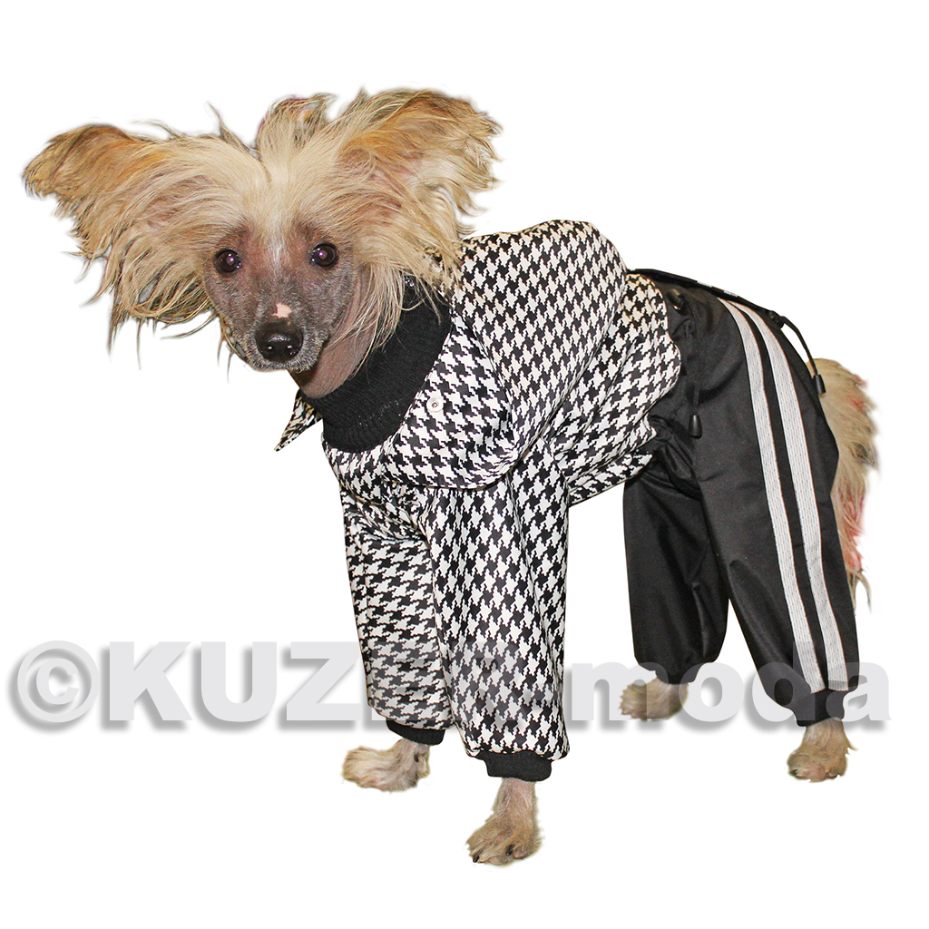 Комбинезон «Куртка-брюки» для собак производства Кузер.